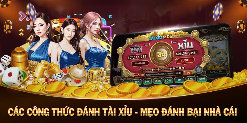 S128-Sống động và hấp dẫn： Casino trực tuyến!